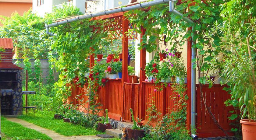 Casa Mary Hotell Haţeg Exteriör bild